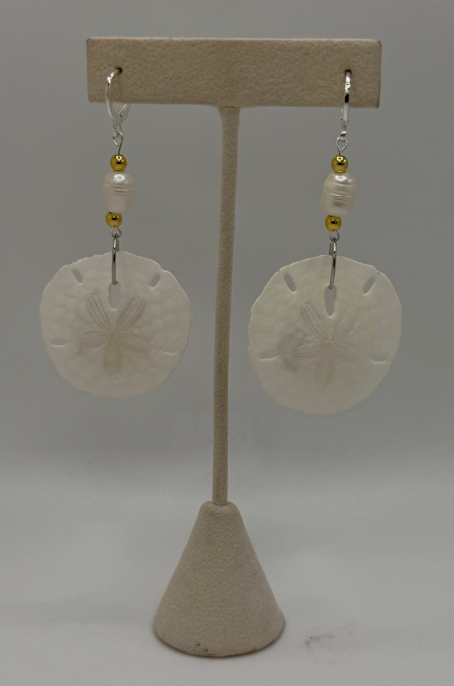Sand dollar earrings