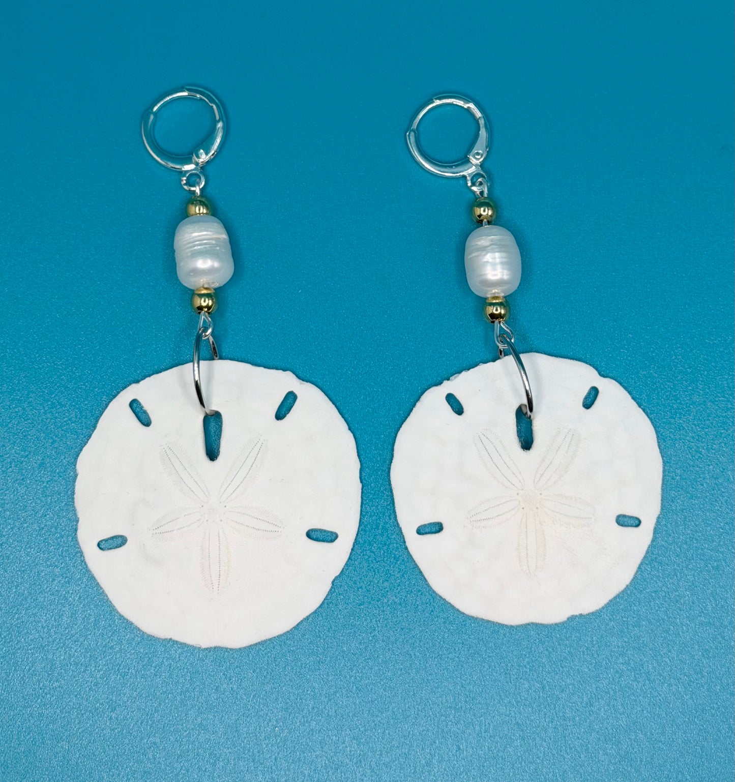 Sand dollar earrings